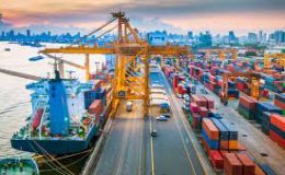 Imports Slowing in Second Half of the Year But 2022 Should See Gain Over 2021